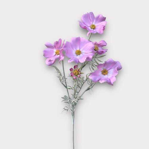 Cosmos Spray QD0033-LI