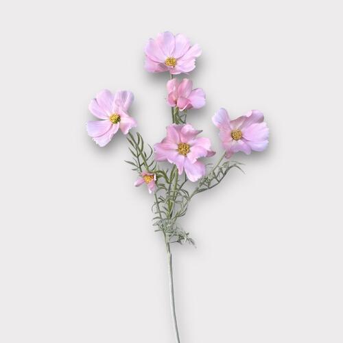 Cosmos Spray QD0033-PC / FI9432LP