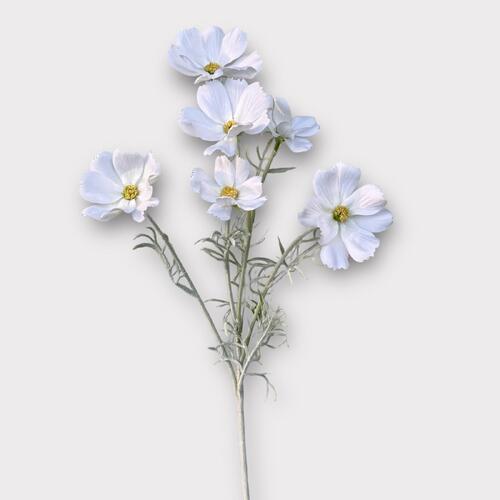 Cosmos Spray QD0033-WH