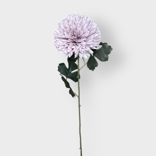 Chrysanthemum Tall QD0036-LI