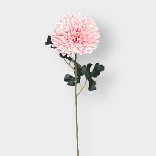 Chrysanthemum Tall QD0036-LPK