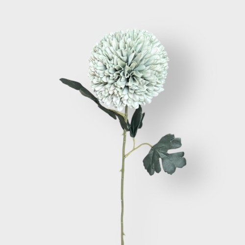 Chrysanthemum Tall QD0036-MINT