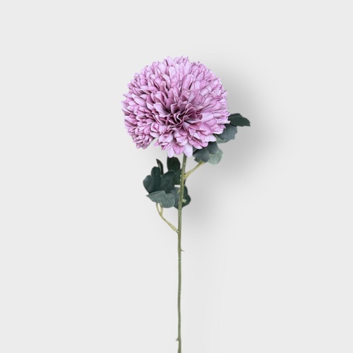 Chrysanthemum Tall QD0036-MV