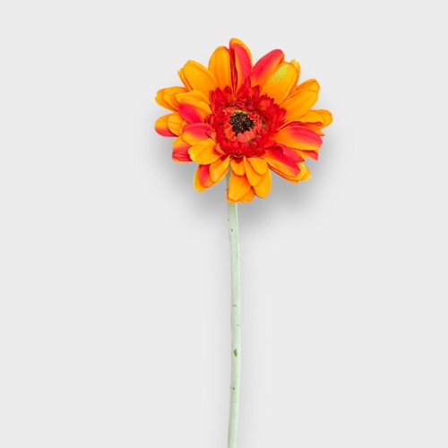 Single Gerbera QD0047-OR