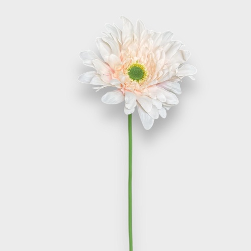 Single Gerbera QD0048-CH