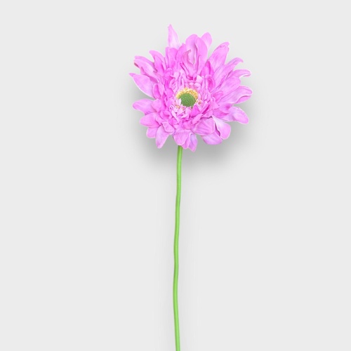 Single Gerbera QD0048-LI