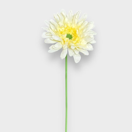 Single Gerbera QD0048-LM