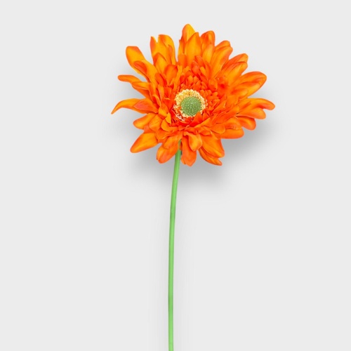 Single Gerbera QD0048-OR