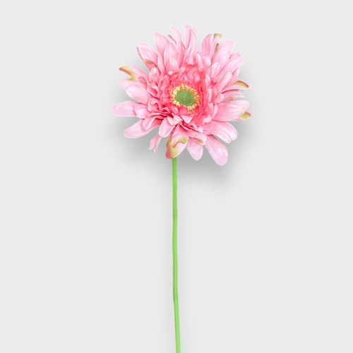 Single Gerbera QD0048-PK