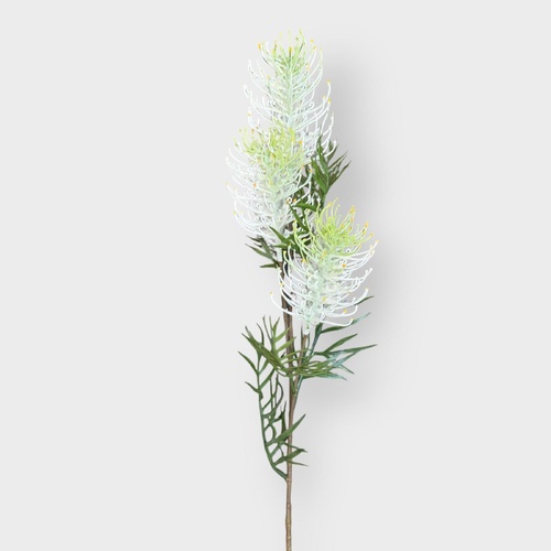 Grevillea Spray RT6964CR