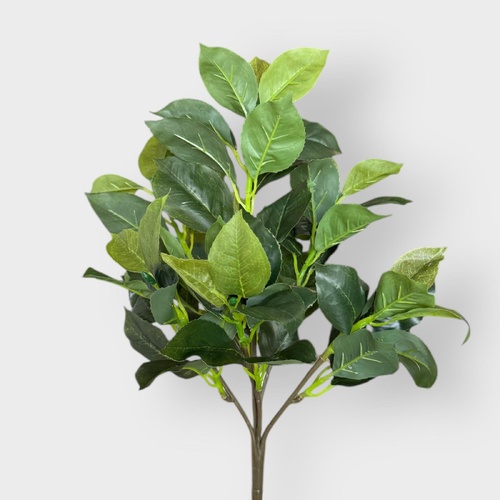 Camelia Foliage bunch S2680