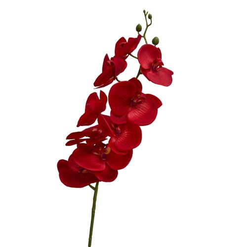 REAL TOUCH RED PHALAENOPSIS ORCHID S3625RD