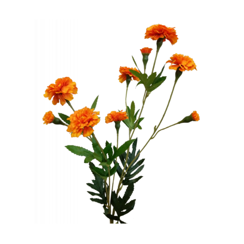 Marigold Spray S3801OR