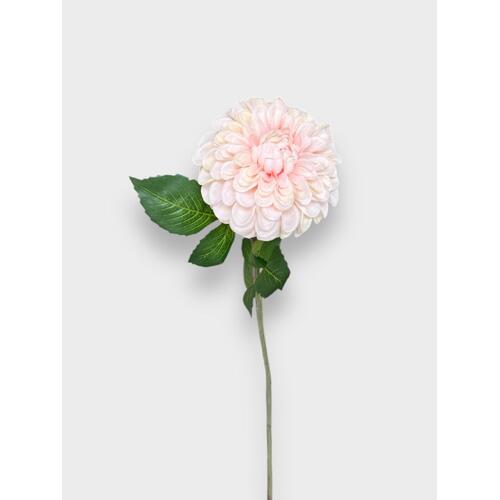 Single Ball Dahlia S5955LTP