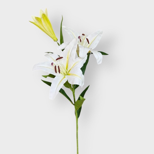 Casablanca Lily SM117-WH