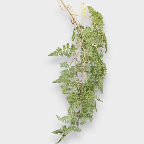 Leather Fern hanging Bush SM123-GR