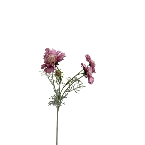 Scabiosa Spray SM175-LPUR