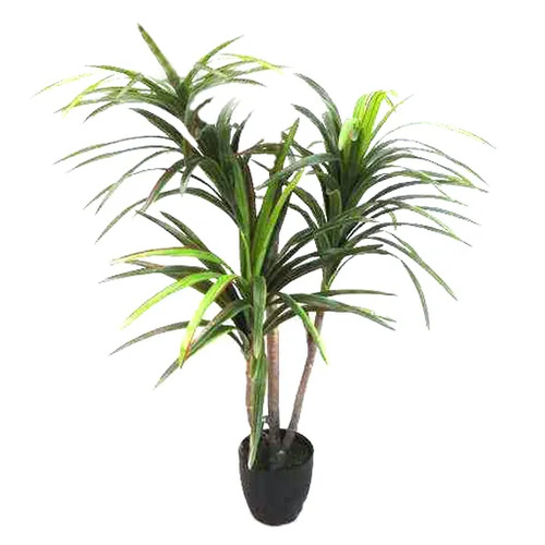 Yucca Tree Real Touch TC112